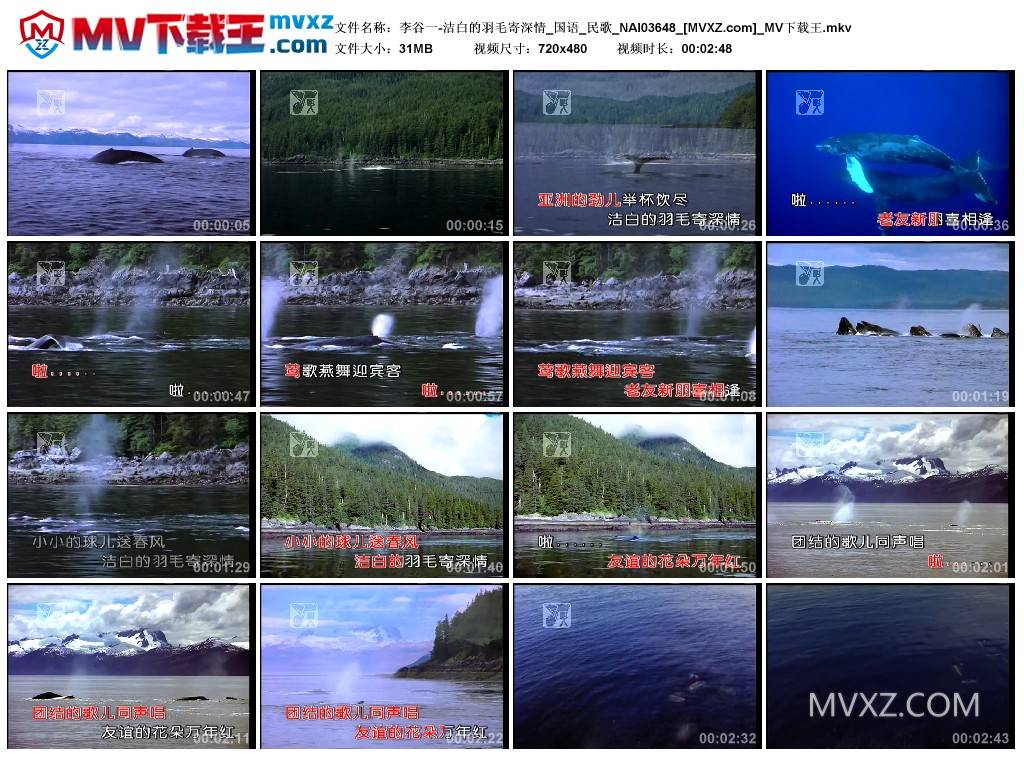 李谷一-洁白的羽毛寄深情_国语_民歌_NAI03648